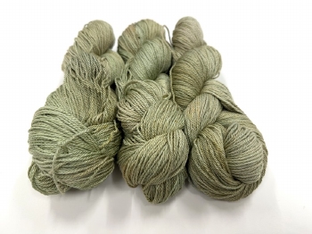 Augustine Supreme 10/3Nm  color 007