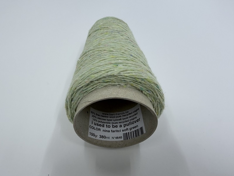 i used to be a Pullover 4640 nina farici soft green