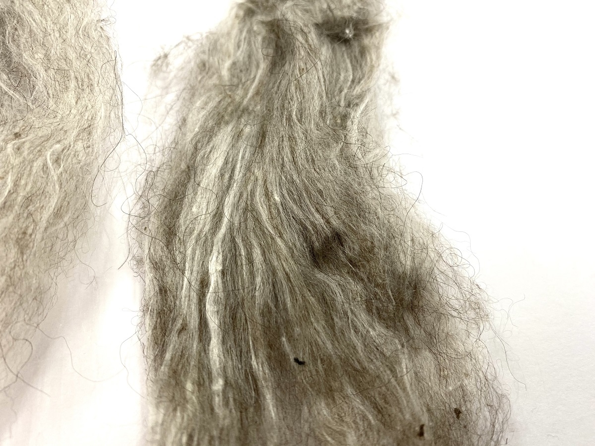 russian silk qiviut melange of 14 to 16 micron qiviut