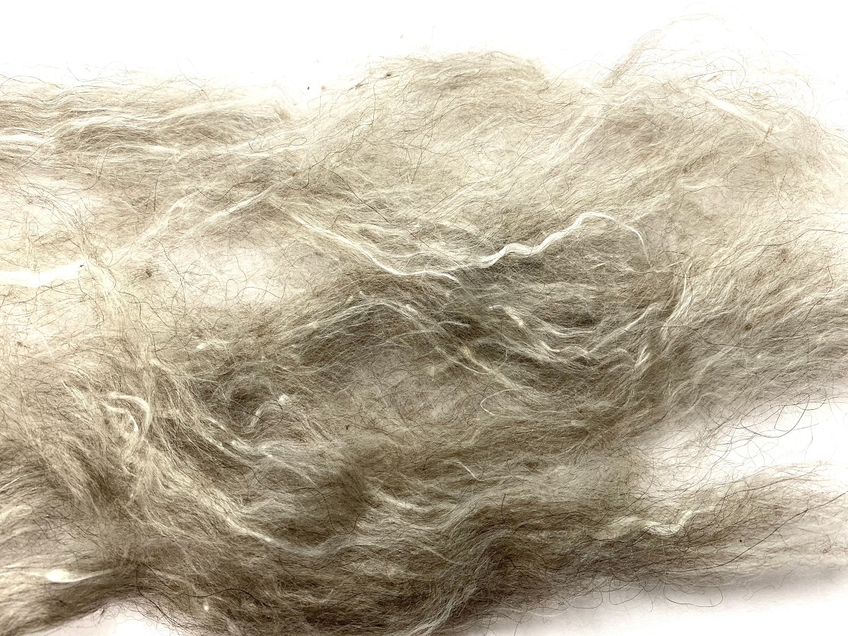 russian silk qiviut melange of 14 to 16 micron qiviut