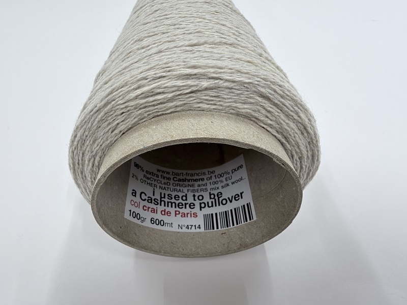 i used to be a cashmere pullover  crai de Paris
