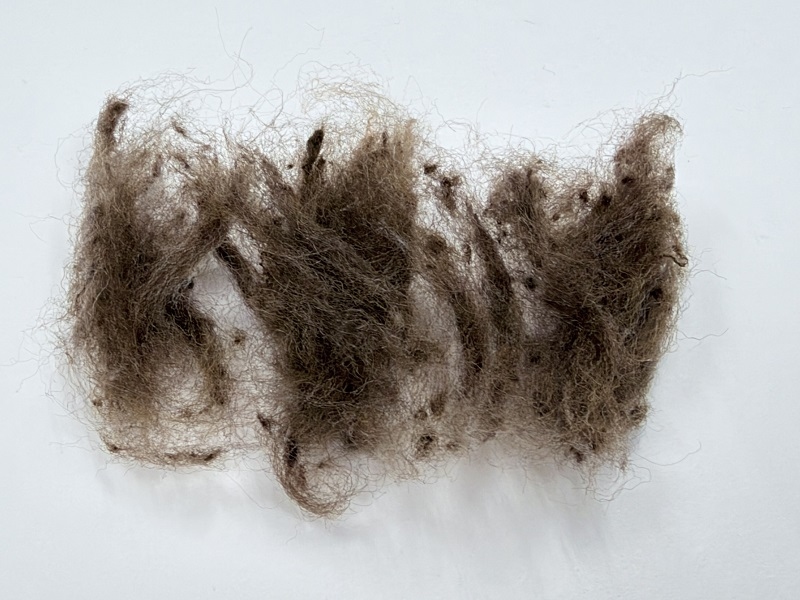 fibers i used to be a pullover teddybear brown